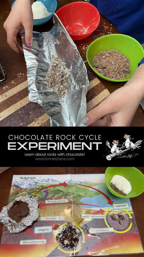 2nd Grade Rock Activities, Extrusive Igneous Rock, Science Picture Of The Day, Montessori Rock Activities, Sedimentary Rocks Activities, Geology Stem Activities, Geology Science Fair Projects, Geology Homeschool Unit, The Rock Cycle Projects