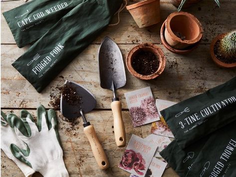 Gardening For Beginners: Essential Tools You Need To Get Started Hand Trowel, Garden Kneeler, Victory Garden, Seed Starter, Thriving Garden, Bamboo Garden, Garden Tool Set, Garden Tool, Garden Hand Tools