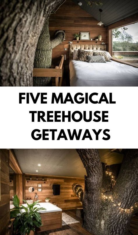 This English treehouse is built in a 500-year-old oak tre Tree Houses To Live In, Livable Tree Houses, Small Tree House Interior, Treehouse Aesthetic, Treehouse Kitchen, Adult Treehouse, Romantic Treehouse, Tree House Bedroom, Treehouse Bedroom