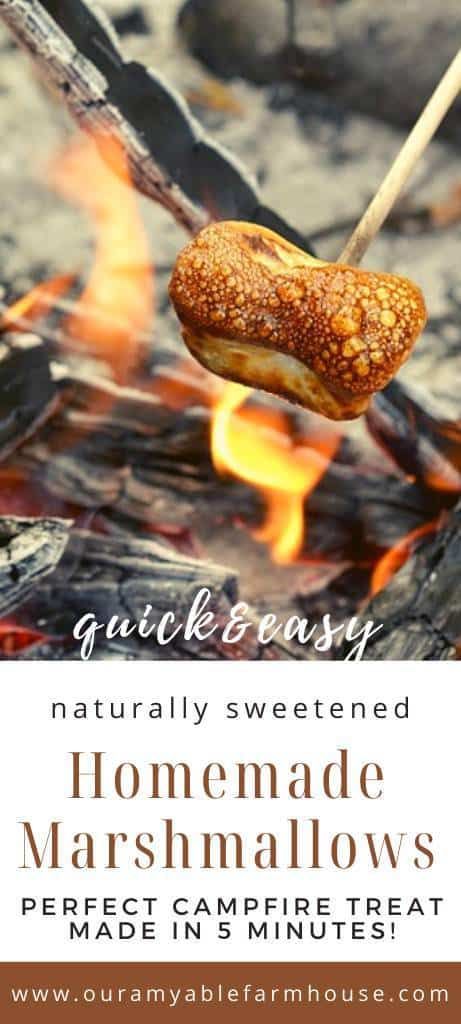 Marshmallow Homemade, Healthy Marshmallow Recipe, Simple Farm Life, Vintage Skills, Modern Homemaking, Healthy Marshmallows, Grill Shrimp, Desserts From Scratch, Chicken On The Grill