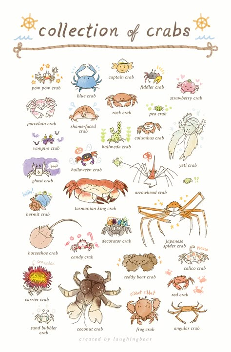 Spider Crab Drawing, Cute Crab Illustration, Cute Crab Tattoo, Hermit Crab Drawing, Crustaceans Art, Crab Cute, Crab Drawing, Kida Disney, Spider Crab