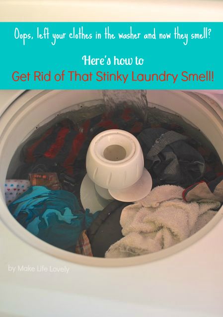 Oops, left your clothes in the washer and now they smell? Here's an easy way to get rid of the smell! Smelly Laundry, Washer Smell, Mold Smell, Mold In Bathroom, Housekeeping Tips, Mildew Smell, Wet Clothes, Diy Cleaners, Laundry Hacks