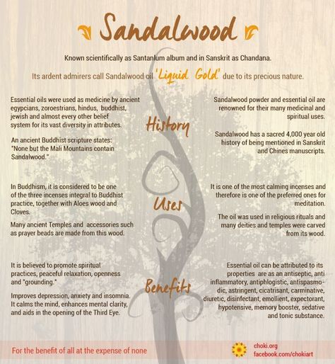 Spirituality Meditation, Sandalwood Powder, Magickal Herbs, Sacred Plant, Sandalwood Incense, Sandalwood Oil, Info Graphics, Blessed Be, Practical Magic