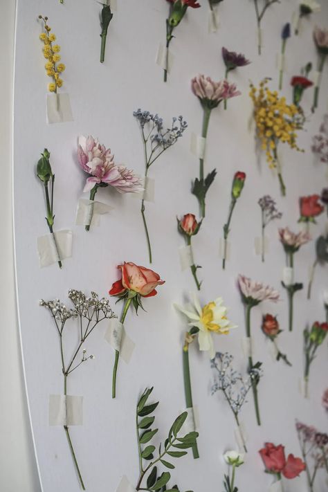 How to create a homemade flower wall Girl Party Themes, Hanging Garden Ideas, Retreat Decor, Dried Flower Wall, Its Party Time, Small Birthday Parties, Night Blooming Flowers, Dorm Aesthetic, Spring Party Decorations