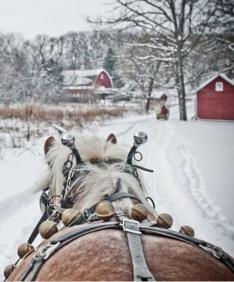 Horse Sleigh, Candy Sleigh, Gifts For Boyfriend Parents, One Horse Open Sleigh, Christmas Gifts For Parents, Sleigh Bells, Sleigh Bell, Gifts For Boyfriend, Christmas Gifts For Boyfriend