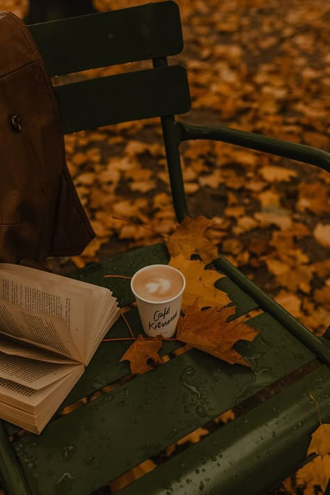 6 books to Read in Autumn | Books to read in autumn Paris In Autumn, Coffee Shop Aesthetic, Fall Mood Board, Fallen Book, Fall Mood, Autumn Coffee, Aesthetic Coffee, Flower Phone Wallpaper, Coffee And Books