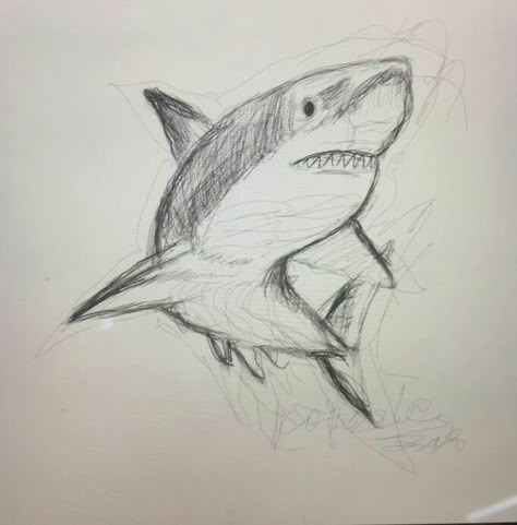 Pen Doodles Easy, Note Pen, Shark Drawing, Drawing Hands, Animal Drawings Sketches, Shark Art, Drawing Faces, Easy Drawings Sketches, Arte Sketchbook