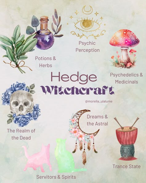 In this blog post we dive into the different aspects of hedge Witchcraft, what a hedge witch is and give practical steps of how to become one yourself! We talk about lucid dreaming, spell work, herbalism, spirit working and more! Hedge Witch Spells, Dream Witchcraft, Dream Witch, What Is Witchcraft, Hedge Witch Altar Ideas, Hedge Witch Wallpaper, Hedge Witch Aesthetic, Witchy Illustration, Southern Hemisphere Witch