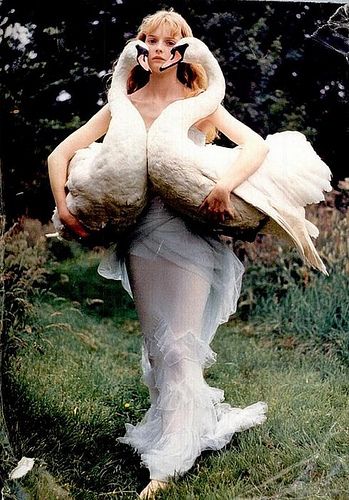 Swan Girl by Violet Folklore, via Flickr Tim Walker Photography, Mode Editorials, White Birds, Magazine Vogue, Tim Walker, Pantomime, Linda Evangelista, Vogue Uk, Vogue Japan