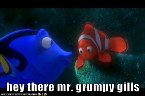 hey there mr. grumpy gills Mr Grumpy, Finding Nemo 2003, Walt Disney Movies, Hidden Mickeys, Random Cartoon, Disney Gifs, Oompa Loompa, Kids Movies, Hidden Mickey