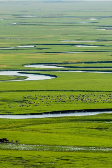 Located in Inner Mongolia autonomous region, Hulunbuir is home to the Hulunbuir Grassland – one of the four largest grasslands in the world – as well as the captivating Greater Hinggan Mountains. Let’s admire its beautiful views! Dnd Worldbuilding, Trip Vision Board, Cultural Tourism, Holiday China, Grass Fields, Explore China, Fantasy Realm, China Culture, Tourism Development