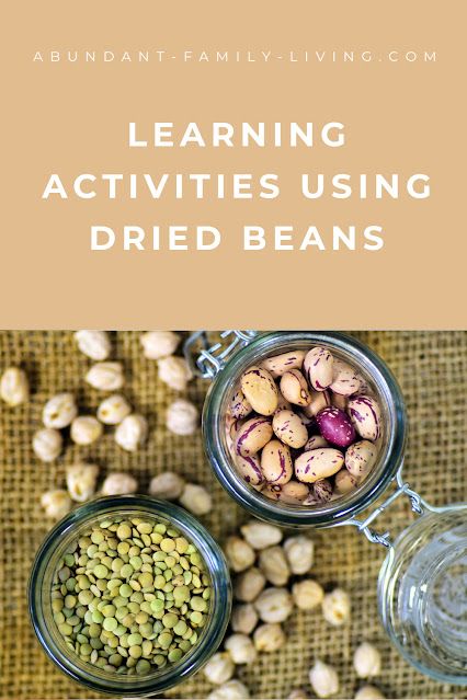 Learning Activities Using Dried Beans Dried Lentils, Classroom Projects, Dried Beans, Family Food, Kidney Beans, Preschool Art, Family Living, Kids Education, Craft Activities