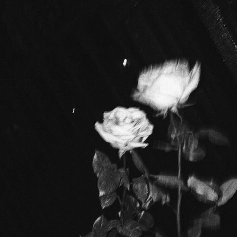 Dark Highlights, Dark Grunge Aesthetic, Zestaw Ikon, Seni Dan Kraf, Dark Grunge, Gray Aesthetic, Black And White Aesthetic, Black Aesthetic Wallpaper, Night Aesthetic