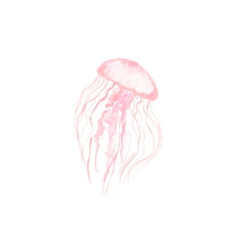 Pink Jellyfish Widget, Ios Wallpaper Icons, Pink Jellyfish Icon, Cute Light Pink Widgets, Pink Summer Icons, Home Screen Icons Pink, Jellyfish Icons For Apps, Pink Phone Theme Ideas, Pink Icons White Background