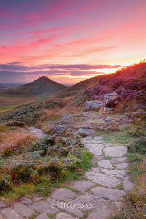 Uk Landscape Photography, North Yorkshire Moors, Heather Landscape, New York Countryside, English Moors, Roseberry Topping, Yorkshire Sayings, Morning Mountain, North York Moors National Park