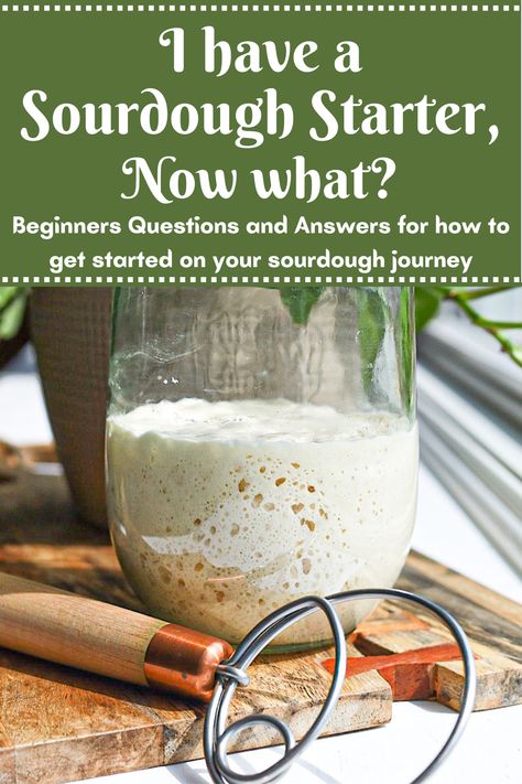 I Have a Sourdough Starter, Now What? - Simple is Gourmet Baking Sourdough Bread From Starter, How To Cook With Sourdough Starter, Making Bread From Sourdough Starter, Sour Dough Starter Bread Recipe, I Have A Sourdough Starter Now What, Sourdough With Starter Recipe, Easy Beginner Sourdough Bread, Bread Recipe Using Sourdough Starter, Sourdough Recipes From Starter