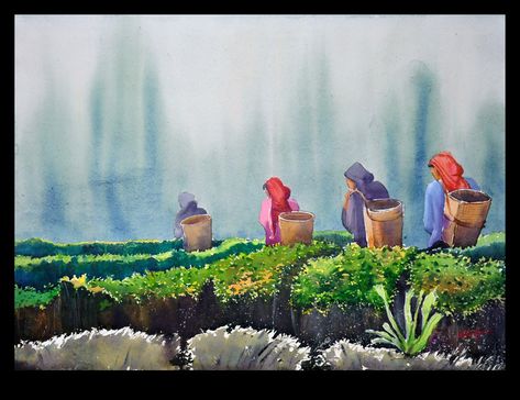 Tea Garden Drawing, Tea Garden Painting, Tea Garden Photography, Kerala Painting, Kerala Culture, Water Colour Ideas, Indian Drawing, Composition Drawing, Watercolor Scenery