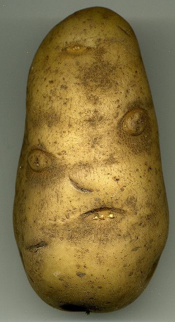 Mr Potato head....looks like "Sloth" from the movie Goonies!!! Things With Faces, Weird Fruit, Funny Vegetables, Strange Fruit, Hidden Faces, Weird Plants, Funny Fruit, Mr Potato Head, Mr Potato