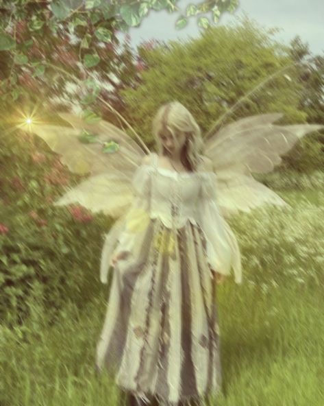 Fairy Core Bedroom, Faerie Core, Faerie Aesthetic, Fairy Core Aesthetic, Fae Aesthetic, Earth Fairy, Light Fairy, Fairytale Aesthetic, Types Of Fairies