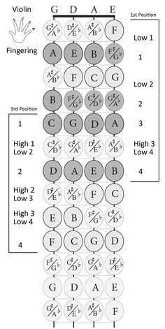 violin fingerboard with notes and finger numbers - 1st and 3rd positions print size 8 X 10 Violin Basic Notes, Violin Basics, Violin Exercises, Violin Fingering Chart, Learning Violin, Violin Scales, Violin Learning, Orchestra Teacher, Fall Playlist