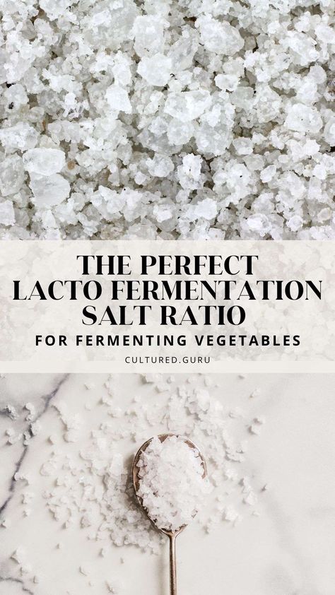 Fermenting Vegetables, Fermented Vegetables Recipes, Lacto Fermentation, Salt Brine, Fermented Veggies, Fermented Pickles, Brine Recipe, Gut Health Recipes, Fermentation Recipes