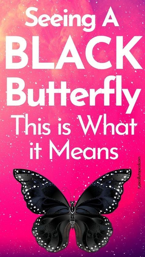 Black Butterfly Meaning, Butterfly Spiritual Meaning, Butterfly Spiritual, The Black Butterfly, A Sign From The Universe, Butterfly Symbolism, Sign From The Universe, Butterfly Meaning, Animal Meanings