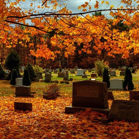 Hollow Heathens, October Country, Fall Things, Autumn Scenery, Season Of The Witch, Halloween Autumn, Halloween Aesthetic, Best Seasons, Autumn Cozy