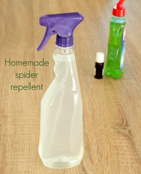 Spiders Repellent Diy, Natural Spider Repellant, Natural Toilet Cleaner, Spider Repellent, Spider Spray, Repellent Diy, Spiders Repellent, Diy Spider, Flea Repellent