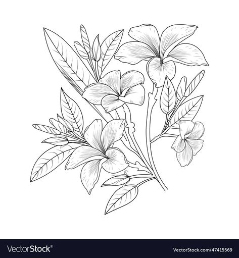 Araliya Flower, Frangipani Drawing, Frangipani Tattoo, Hawaiian Flower Tattoos, Branch Drawing, Fun Tattoos, Frangipani Flower, Rose Sketch, Tole Painting Patterns