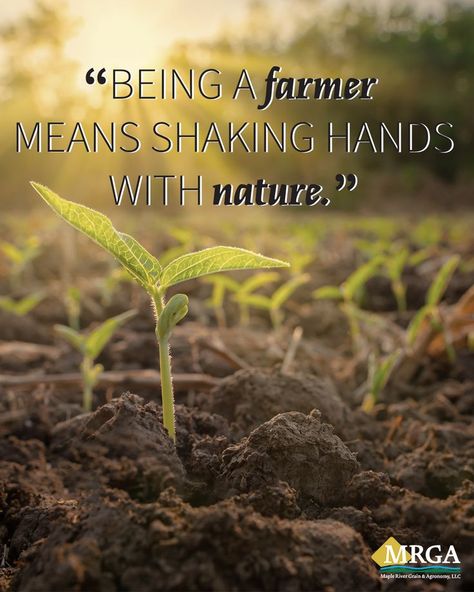 Picture of plants with a quote reading, "Being a farmer means shaking hands with nature." Farm Quotes Agriculture, Farmer Quote, Agriculture Quotes, Farming Quotes, Farmer Quotes, Sayings For Signs, Agriculture Photography, Environmental Posters, Farm Quotes