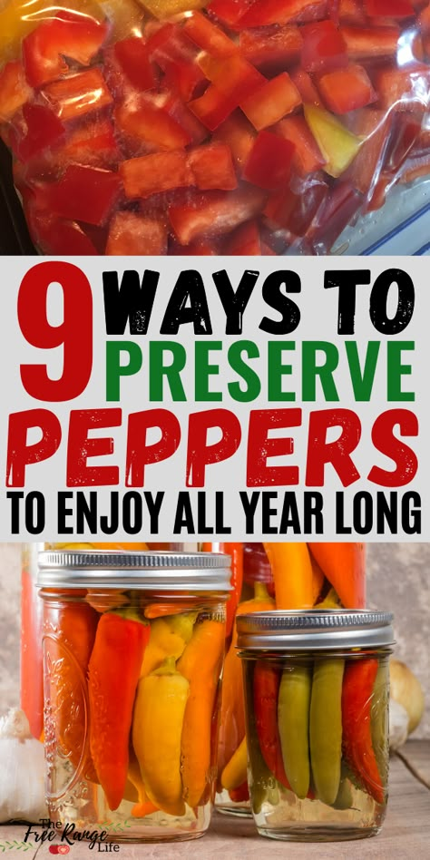 Preserve Peppers, Preserving Peppers, Canning Hot Peppers, Pickled Pepper Recipe, Pickled Hot Peppers, Canning Peppers, Sweet Pepper Recipes, Hot Pepper Recipes, Pickled Peppers