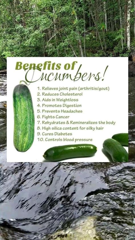 Benefits Of Cucumber, Cucumber Health Benefits, Cucumber Benefits, Food Health Benefits, Natural Healing Remedies, Home Health Remedies, Herbs For Health, Natural Cough Remedies, Good Health Tips