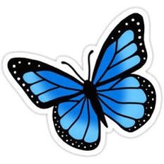 Pinterest: ☆ ⓐ ⓔ ⓢ ⓣ ⓗ ⓔ ⓣ ⓘ ⓒ ⓢ ☆ Blue Butterfly Printable, Pastel Blue Butterfly, Blue Butterfly Sticker, Happy Birthday Wallpaper, Unicorn Pictures, Pastel Butterflies, Butterfly Printable, Png Aesthetic, Butterfly Drawing