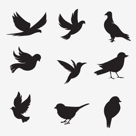 Bird Silhouette Art, Simple Wall Paintings, Silhouette Sport, Vogel Silhouette, Shadow Illustration, Shadow Painting, Silhouette Paper, Diy Wall Painting, Silhouette Tattoos