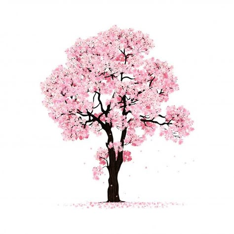 Blossoming pink sakura tree isolated | Premium Vector #Freepik #vector #floral #tree #cherry-blossom #cherry Blossom Drawing, Cherry Blossom Drawing, Tree Drawing Simple, 귀여운 음식 그림, Pink Sakura, Pink Tree, Sakura Tree, Small Canvas Art, Tree Illustration