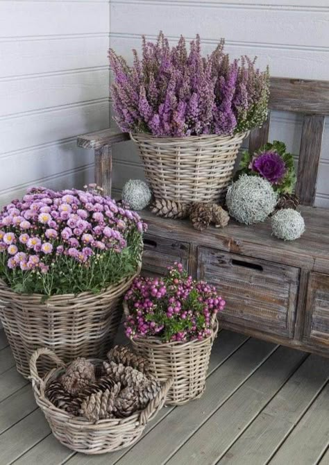 Potted Mums, Front Porch Decorating, Deco Floral, Deck Decorating, Garden Cottage, Fall Decorating, Porch Decor, Porch Ideas, Terra Cotta