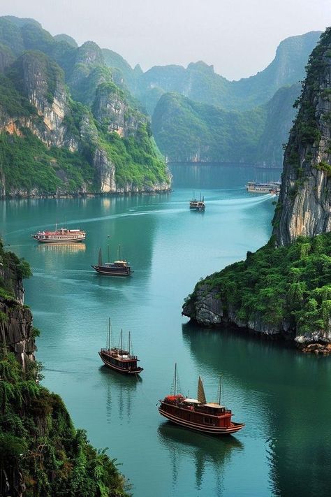 Vietnam Travel Tips and Planning | 🚤 Mystical Seascape: Ha Long Bay, Vietnam's Limestone Marvel 🇻🇳 | Facebook Vietnam Vacation, Halong Bay Vietnam, Travel Vietnam, Vietnam Tours, Ha Long Bay, Overseas Travel, Ha Long, Halong Bay, Best Cruise