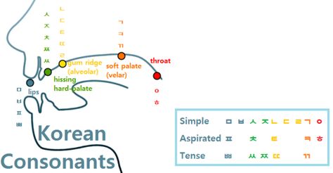 Korean Pronunciation, Soft Palate, Korean Language Learning, Korean Language, Sound, Things To Come