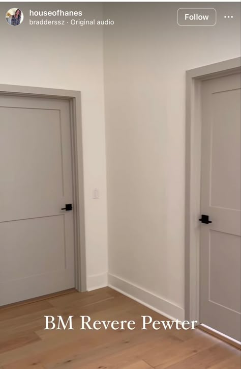 Darker Trim Lighter Walls Interior Doors, Grey Door White Walls, Greige Doors And Trim, Modern Farmhouse Interior Doors Paint, Inside Door Colors Paint, Beige Doors Interior Modern, Beige Closet Door, Neutral Door Colors Interior, Pewter Interior Doors