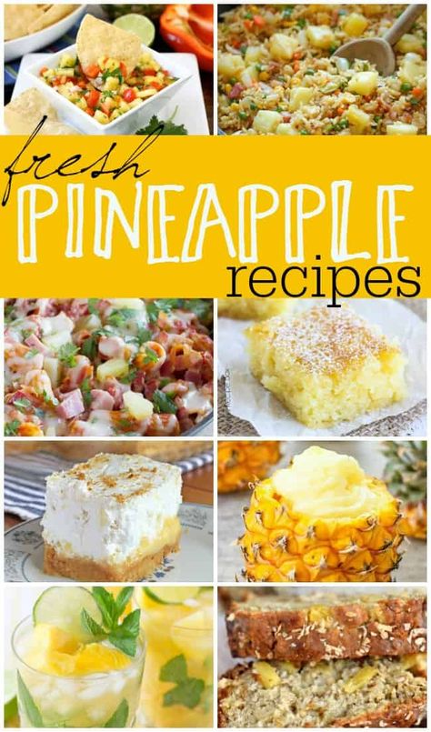 If you are a fan of pineapple and sweet desserts then you will definitely want to check out some of these fresh pineapple recipes. Pineapple Recipes Healthy, Fresh Pineapple Recipes, Pineapple Meaning, Pineapple Snack, Pineapple Cakes, Dessert For Summer, Pineapple Dessert, Pineapple Dessert Recipes, Pineapple Desserts