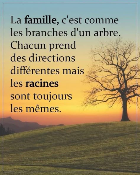 Gratitude Challenge, Spiritual Words, French Quotes, Home Quotes And Sayings, Best Inspirational Quotes, Positive Attitude, Thoughts Quotes, Spiritual Quotes, Better Life