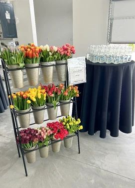 Build Your Own Bouquets with Mini Flower Bar Rentals | Posy Blue Bouquet Bar Build Your Own, Flower Bouquet Bar, Bouquet Bar, Bar Build, Bridal Shower Inspiration, Flower Bar, Grad Party, Floral Arrangement, Flower Drawing