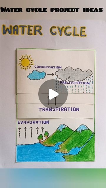 Tlm For Social Studies, Science Project On Chart Paper, Watercycle Kids Project Model, Social Science Chart Ideas, Watercycle Kids Project, Water Cycle Drawing Art Projects, Uses Of Water Chart For Kids, Social Science Activities, Water Cycle Project Kids