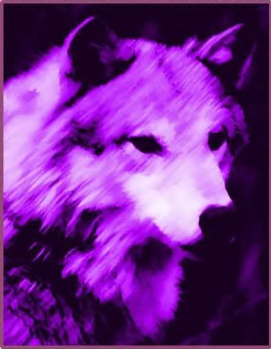 Purple Wolf Blue Wolf Aesthetic, Wolf Street, Wolf Aesthetic, Wild Shape, Wolf Images, Two Wolves, Purple Animals, Alpha Wolf, Animal Spirit