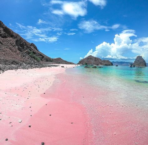 Bahamas Pink Sand Beach, Pink Beach Bahamas, Pink Sand Beach Bermuda, Fairytale Locations, Pink Sand Beach Bahamas, Horseshoe Bay Bermuda, Widgets Ipad, Traveling Goals, Pink Sand Beaches