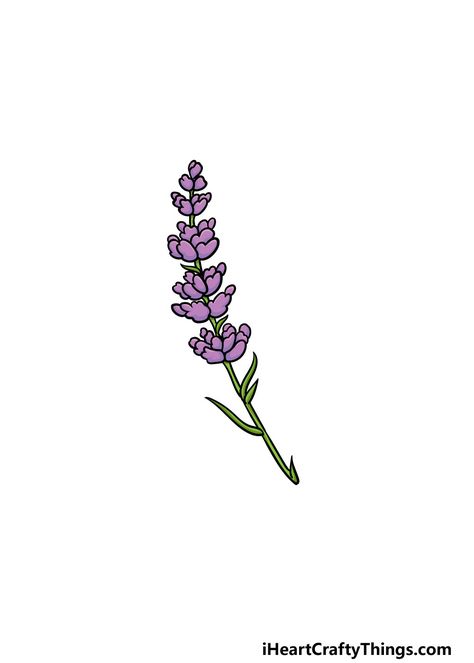 How to Draw Lavender – A Step by Step Guide Lavender Flower Drawing Simple, Lavender Plant Drawing, Lavender Flower Drawing, Lavender Sketch, Draw Lavender, Lavender Drawing, Drawing Purple, Plant Sketch, Drawing Pencil Sketches