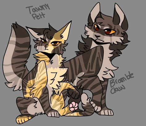 Warriors Oc, Warrior Cat Oc Ideas, Warrior Cats Oc Ideas, Cat Oc Ideas, Warrior Cat Memes, Warrior Cat Ocs, Warrior Cats Series, Warrior Cats Oc, Warrior Cats Books