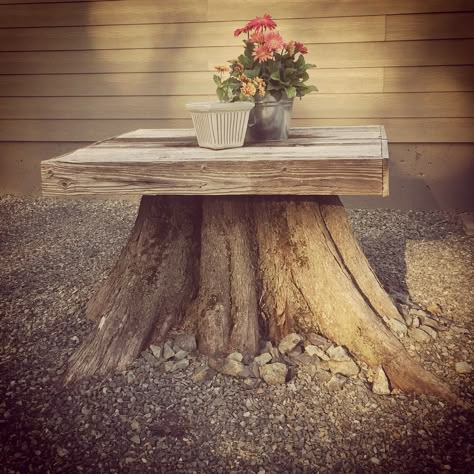 Tree Stump Table Stump Decor, Tree Stump Decor, Tree Stump Ideas, Tree Stump Planter, Stump Ideas, Tree Stump Table, Table Tree, Tire Planters, Stump Table