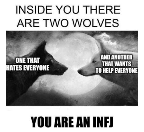 Personalidad Infj, Infj Traits, Infj Humor, Infj Problems, Infj Psychology, Infj Things, Infj Type, Infj Intj, Infj Mbti