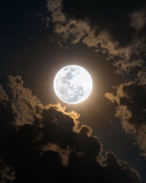 Full Moon Pictures, Moon Core, Moon Pics, Moon Lover, Moon Photos, The Moon Is Beautiful, Moon Pictures, Moon Photography, Super Moon